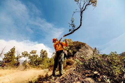 Un miembro del equipo Roosevelt Hotshot abre un cortafuegos para tratar de frenar el incendio Windy, el 16 de septiembre de 2021, en la Reserva del Río Tule, en California. (AP Foto/Noah Berger)