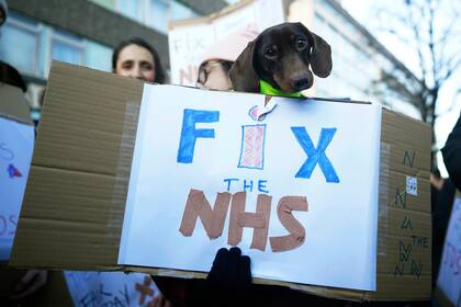 Un miembro del Royal College of Nursing sostiene a un perro en la línea de piquetes durante una huelga, en el exterior del College Hospital, en Londres, el 18 de enero de 2023. (James Manning/PA via AP)