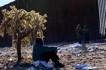 Un migrante se sienta a la sombra de un cactus saltarín del desierto mientras se une a cientos de migrantes reunidos a lo largo de la frontera, el martes 5 de diciembre de 2023 en Lukeville, Arizona. (AP Foto/Ross D. Franklin)