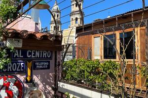 Un mini rosedal en las alturas