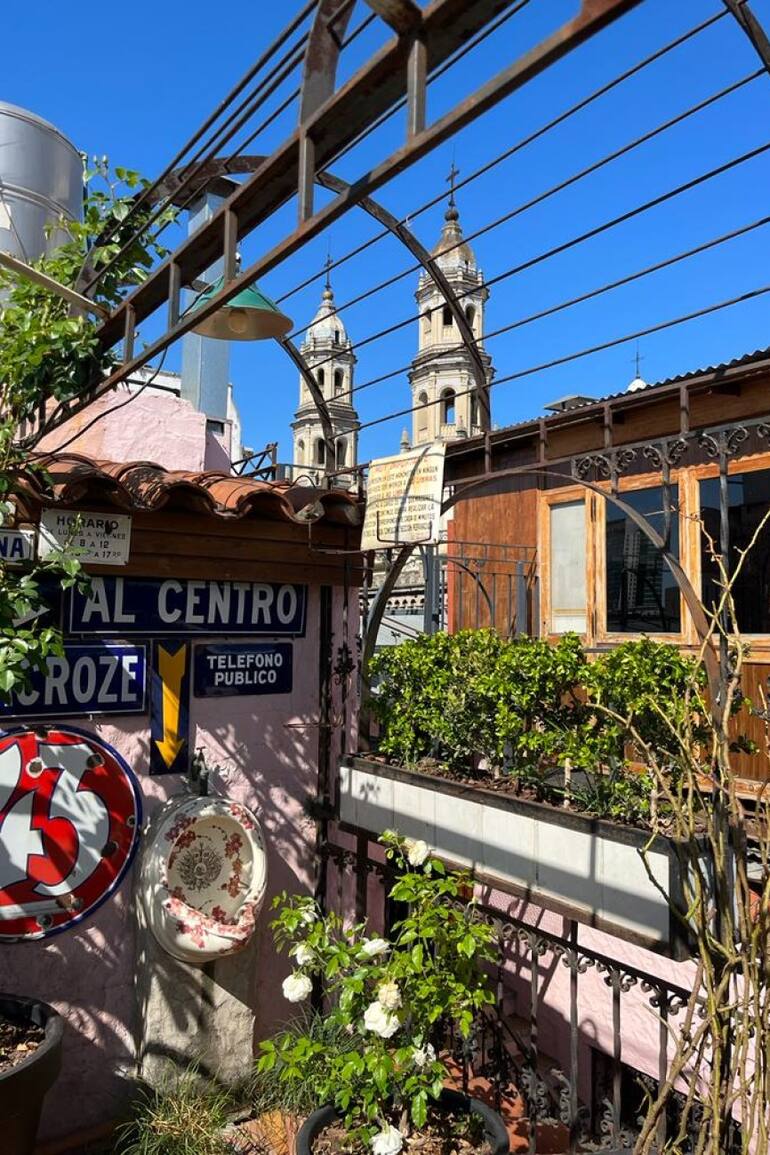 Un mini rosedal en las alturas