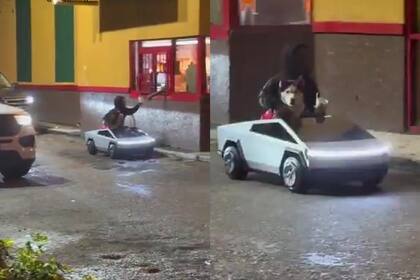 Un mini Tesla llamó la atención de los residentes de Miami