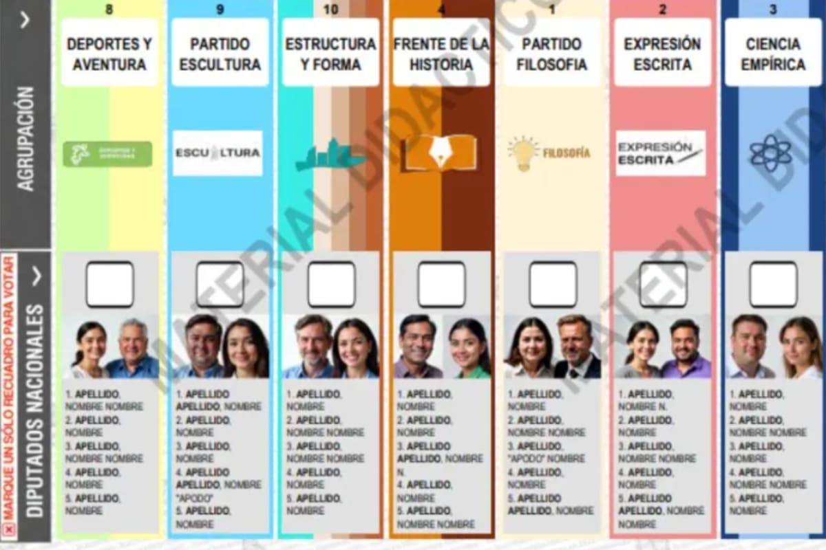 Un modelo de boleta única