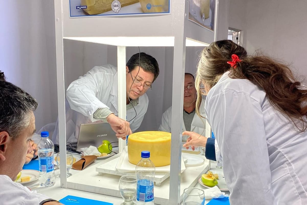 Un momento de evaluación en el concurso de quesos