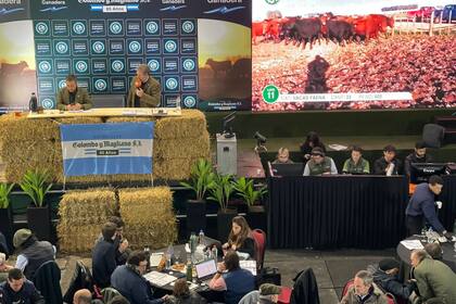 Un momento de la larga subasta