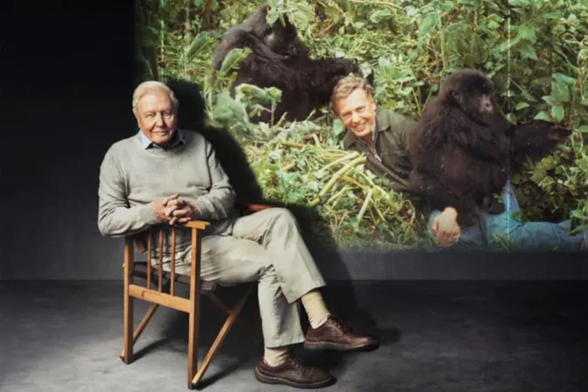 Un momento inolvidable durante la filmación de la serie "La vida en la Tierra", hace 50 años
