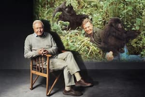 Un momento inolvidable durante la filmación de la serie "La vida en la Tierra", hace 50 años