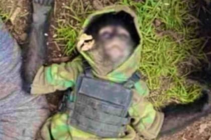 Un mono caracterizado como sicario murió en un enfrentamiento