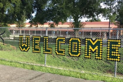 Un mono fue divisado en los alrededores de la escuela primaria Timberfrest, en Deltona