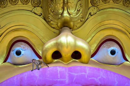 Un mono fuera del templo de la cueva Rangiri Dambulla en Dambulla el 14 de octubre de 2024.