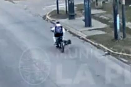 Un motociclista atropelló a un perro en La Plata
