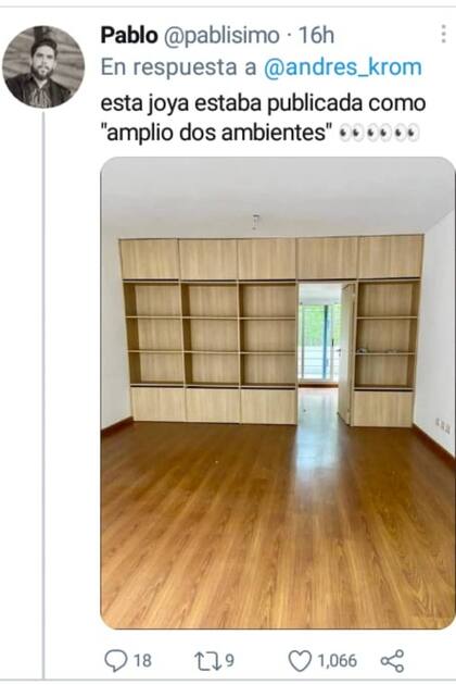 Un mueble convierte un ambiente en dos