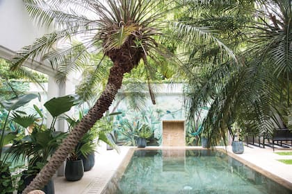 Un mural de Male Inurrigarro viste la medianera del fondo de un jardín diseñado por la paisajista Martina Zavalía. Las Strelitzias nicolai que protagonizan la obra combinan con el toque frondoso y tropical que dan al espacio las dos imponentes palmeras Phoenix roebelenii.