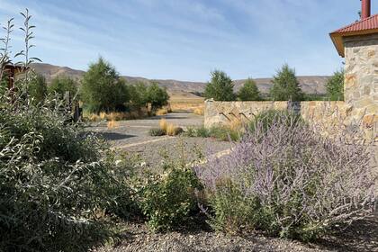 Un muro bajo se aprovechó para plantear una fuente que trae el sonido del agua hacia esta parte del jardín.