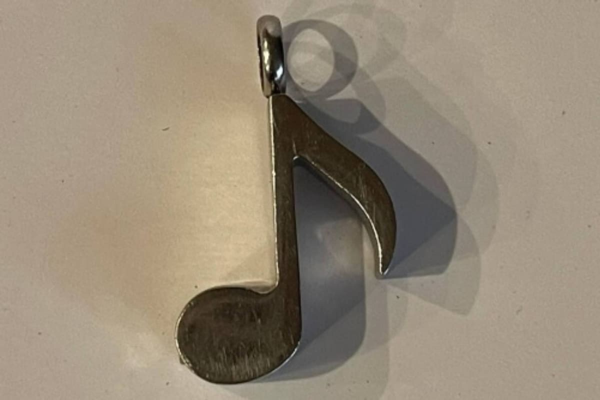 Un niño de 4 años encontró este colgante que escondía una conmovedora historia detrás. Captura: abc15.com