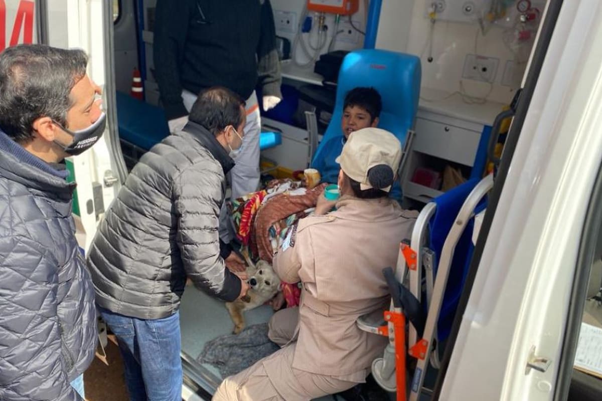 Un niño de 9 años estuvo perdido 19 horas en la noche más fría del año y sobrevivió junto a sus perros