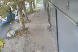 Un niño de cinco años resultó herido al bajar de un colectivo en Villa Fiorito