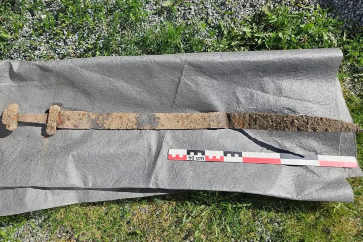 Un niño de seis años halló una espada vikinga durante una salida escolar