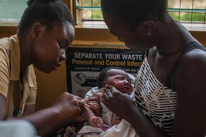 Un niño en Ghana es inoculado con la primera vacuna contra la malaria.