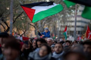 Un niño ondea una bandera palestina durante una protesta en apoyo de los palestinos
