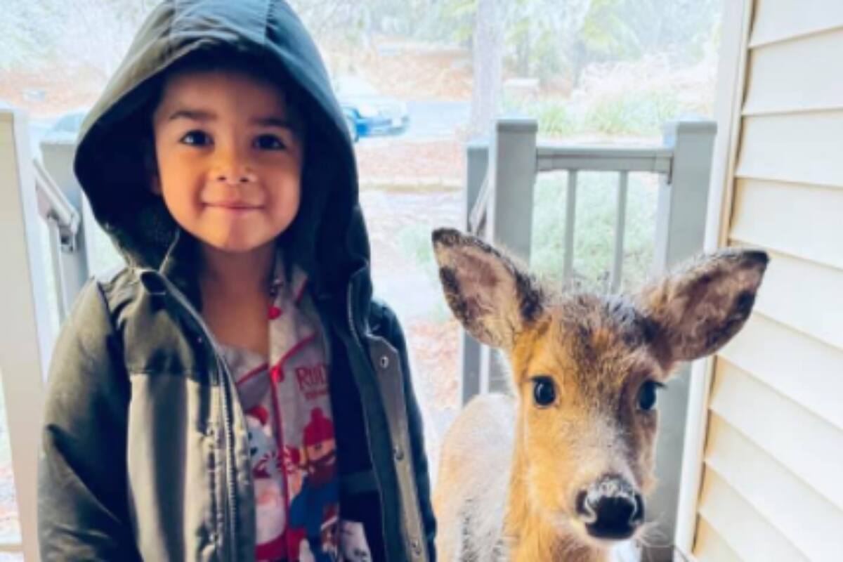 Un niño salió a jugar al bosque y volvió con una curiosa mascota. "Estaba en shock", contó la mamá al descubrir a su hijo con el animal