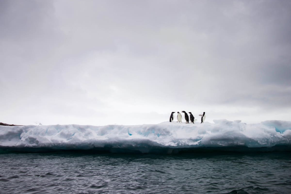 Un nuevo análisis de datos satelitales mostró que el hielo de la Antártida se está derritiendo en reflujos y flujos, no de forma lineal