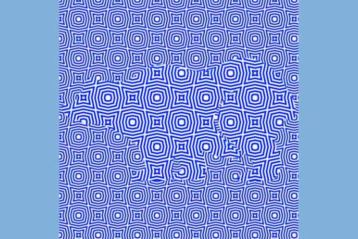 Un nuevo desafío visual, viralizado en las últimas horas, propone encontrar el animal en un fondo azul que genera un extraño efecto óptico