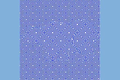Un nuevo desafío visual, viralizado en las últimas horas, propone encontrar el animal en un fondo azul que genera un extraño efecto óptico
