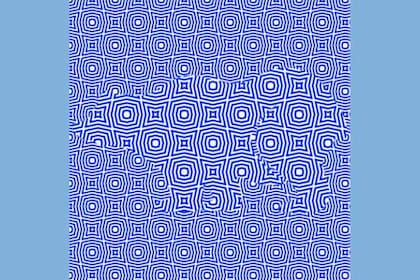 Un nuevo desafío visual, viralizado en las últimas horas, propone encontrar el animal en un fondo azul que genera un extraño efecto óptico