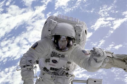 Un nuevo estudio de la NASA con roedores reveló el impacto de la microgravedad en la salud ósea (imagen ilustrativa)