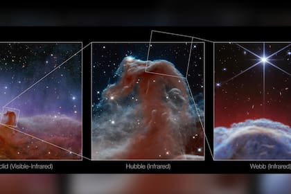 Un nuevo hallazgo revoluciona la investigación de los científicos (Foto ESA/Euclid/Euclid Consortium/NAS)