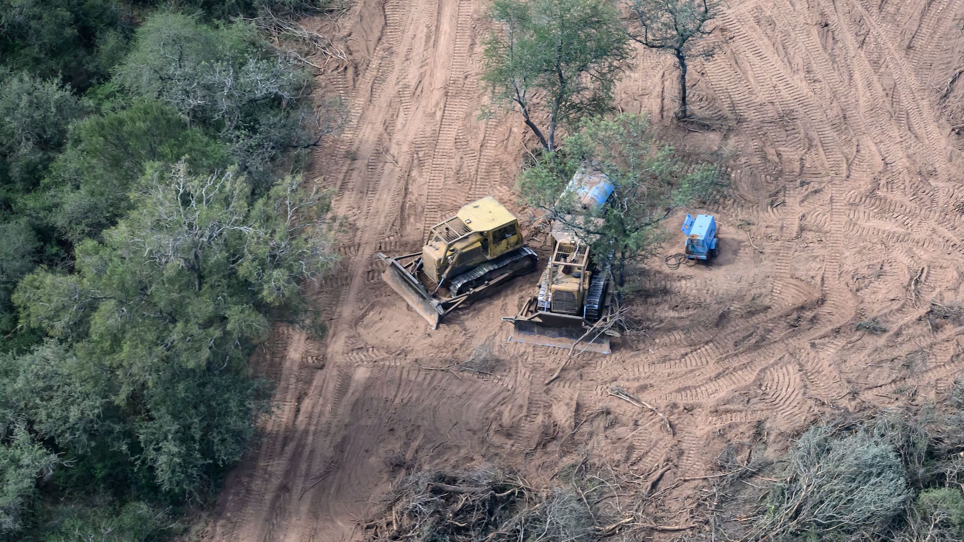 Un nuevo informe de Greenpeace denuncia que durante 2024 la pérdida de bosques en el norte del país fue de casi 150.000 hectáreas
