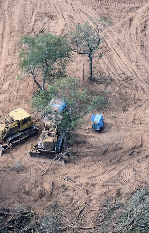 Un nuevo informe de Greenpeace denuncia que durante 2024 la pérdida de bosques en el norte del país fue de casi 150.000 hectáreas