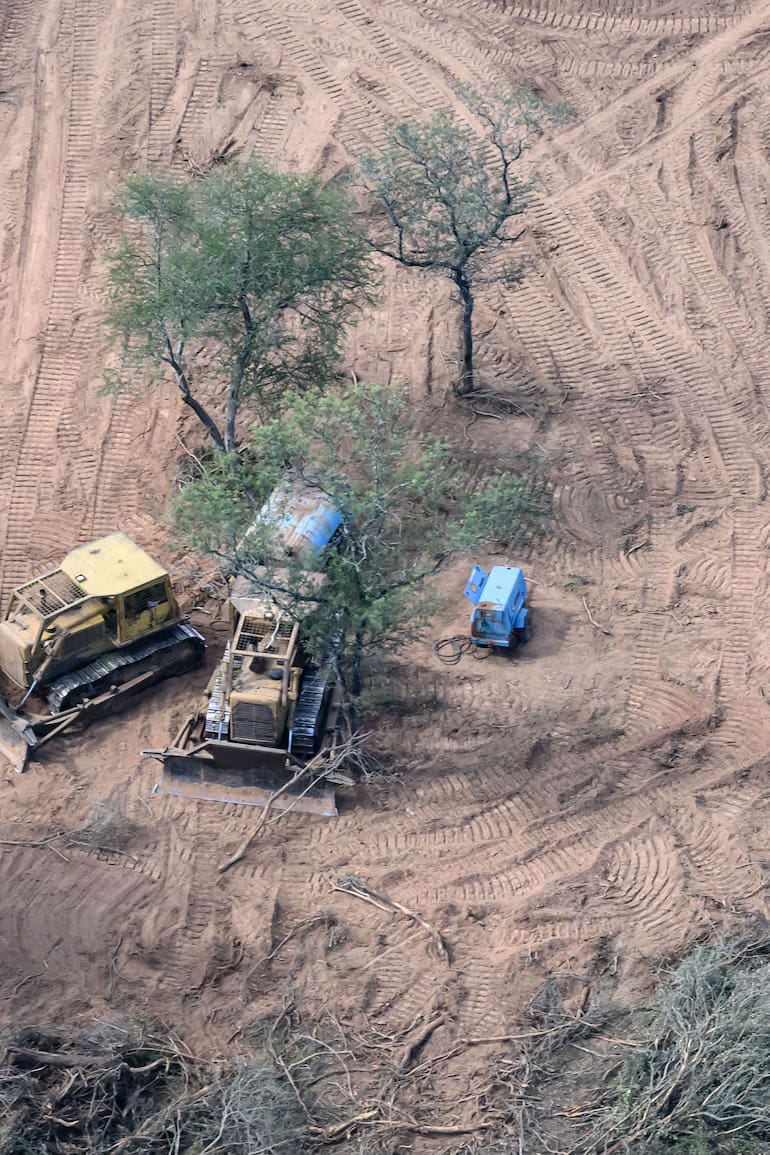 Un nuevo informe de Greenpeace denuncia que durante 2024 la pérdida de bosques en el norte del país fue de casi 150.000 hectáreas