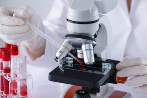 Un nuevo modelo fundacional de IA de Google formuló una hipótesis novedosa sobre el comportamiento celular del cáncer; esta predicción fue confirmada exitosamente en células vivas