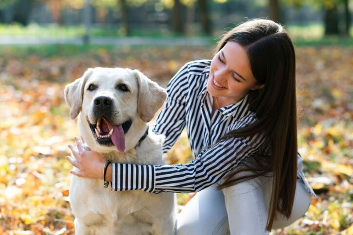 Un nuevo nombre destronó a Max como el nombre favorito para perros en 2024
