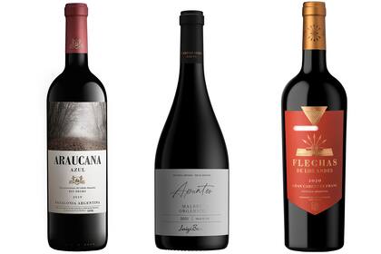 Un nuevo terruño, un vino orgánico y un varietal súper trendy