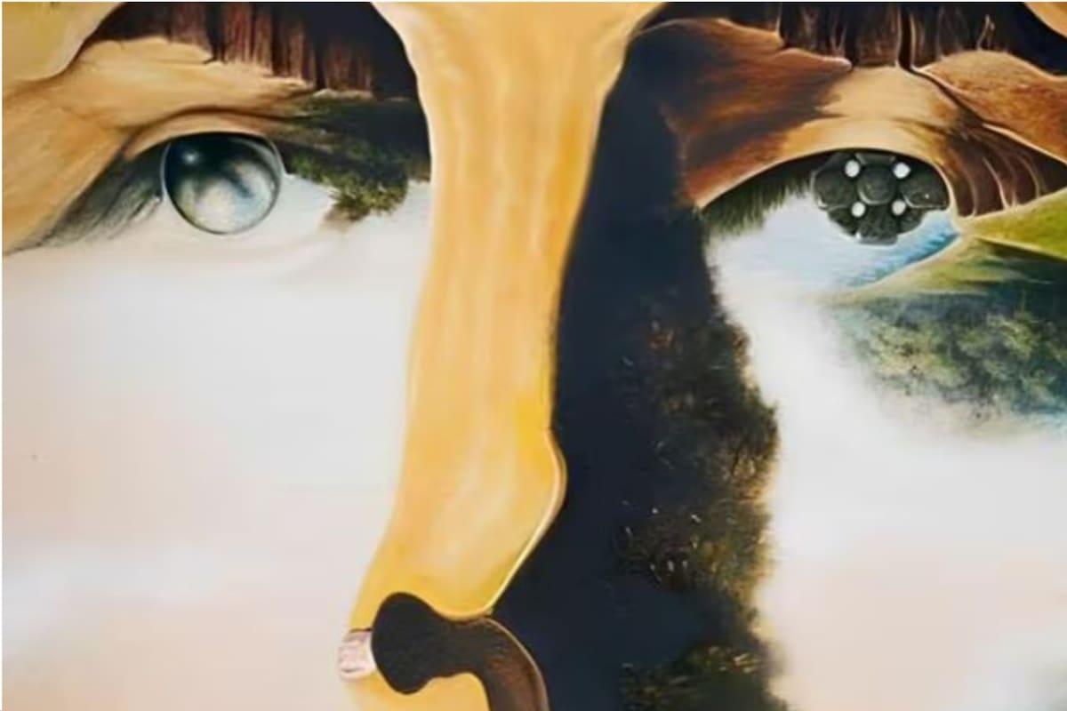 Un nuevo test de personalidad que apuntará a fortalecer el autoconocimiento