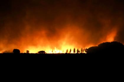Un nuevo y voraz incendio arrasó unas 20.000 hectáreas forestadas y unas 30.000 hectáreas de campo en el norte de la provincia, en Gobernador Virasoro