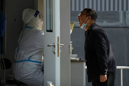 Un operario, vestido con un traje de protección, toma una muestra a un hombre en un centro de pruebas de detección del coronavirus en Beijing, el 8 de noviembre de 2022. (AP Foto/Andy Wong)