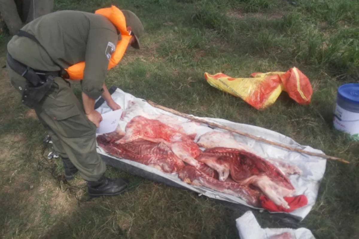 Un operativo en un campo