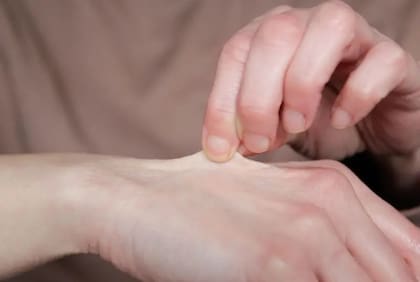 Un órgano que se regenera constantemente a una escala enorme es la piel