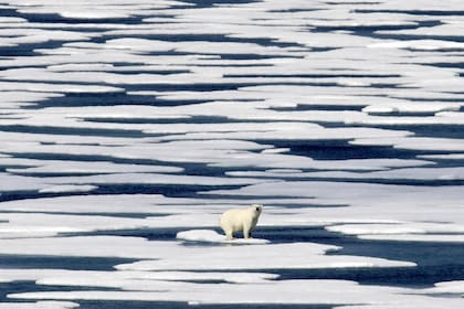 El calentamiento global representa uno de los mayores inconvenientes en la actualidad, según 9 de cada 10 consultados; el coronavirus se agregó a la preocupación del cambio climático