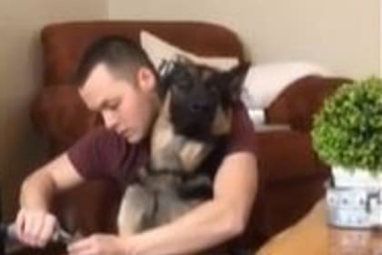 Un ovejero alemán protagonizó un divertido video al reaccionar con sorpresa ante el ruido de un alicate