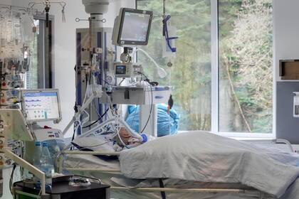 Un paciente de COVID-19 entubado recibe atención en la unidad de cuidados intensivos en el Centro Clínico Westerstede, un hospital militar-civil en Westerstede, Alemania, el viernes 17 de diciembre de 2021. (AP Foto/Martin Meissner)