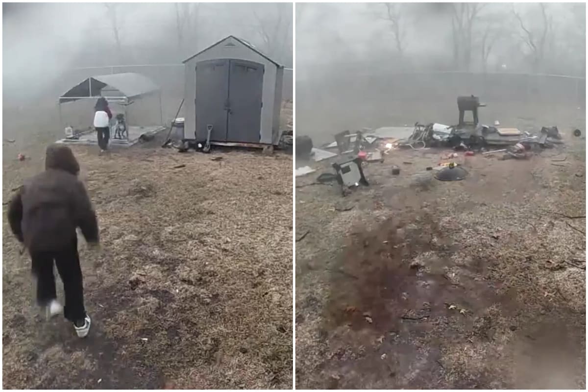 Un padre y su hijo corrieron bajo la lluvia para salvar al perro segundos antes del impacto