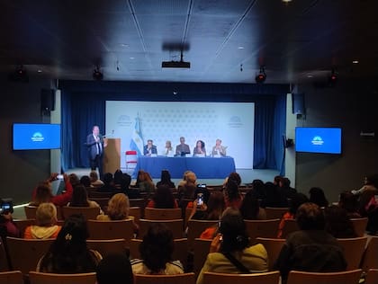 Un panel de especialistas en salud mental y adicciones demandó reformar la ley nacional