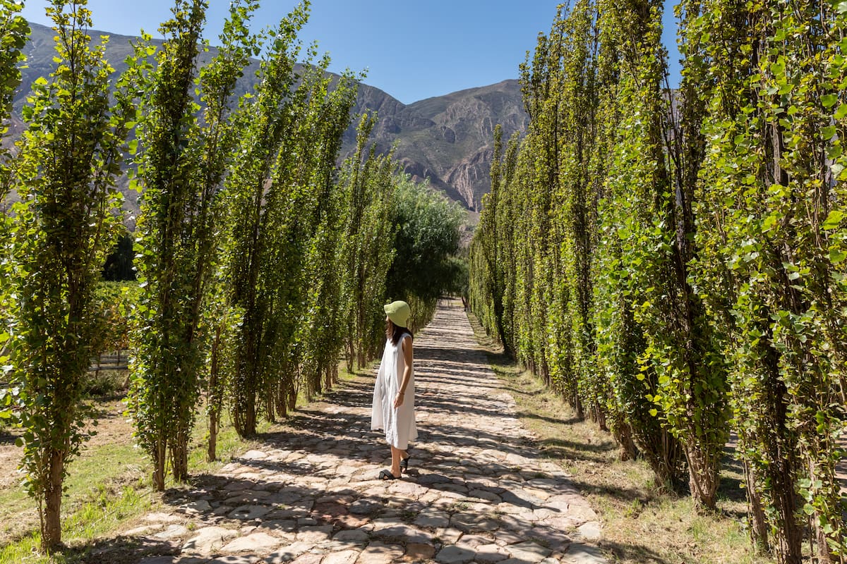 Un paraje jujeño obtuvo la distinción Best Tourism Villages de Naciones Unidas; el premio valora su impronta cultural y natural