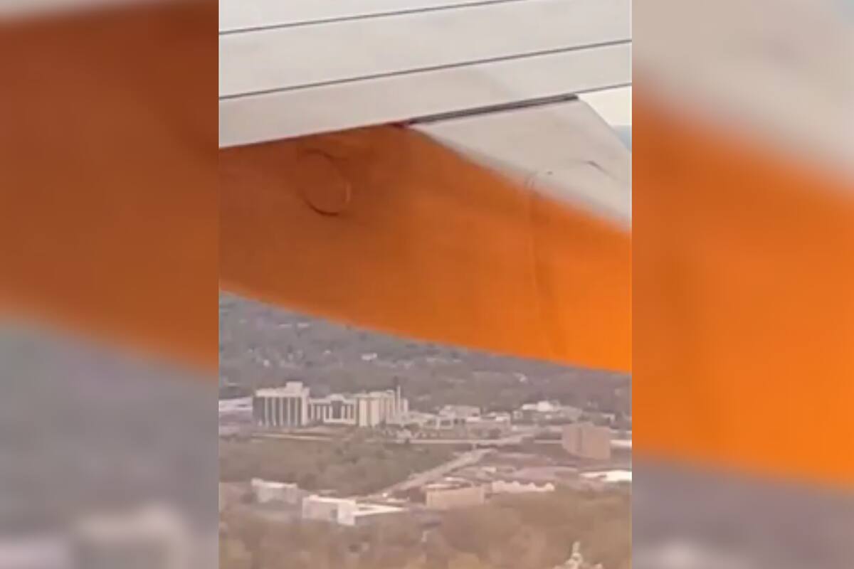 Un pasajero captó el fuego en el aire tras chocar con una bandada de pájaros