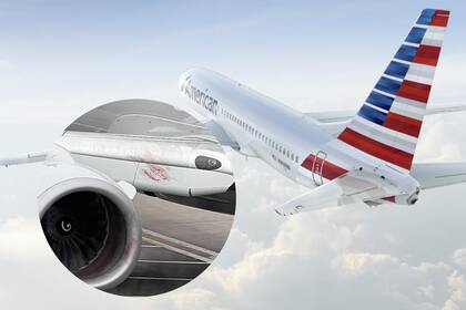 Un pasajero captó rastros de sangre junto a la turbina del avión